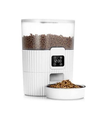 Automatic Dry Food